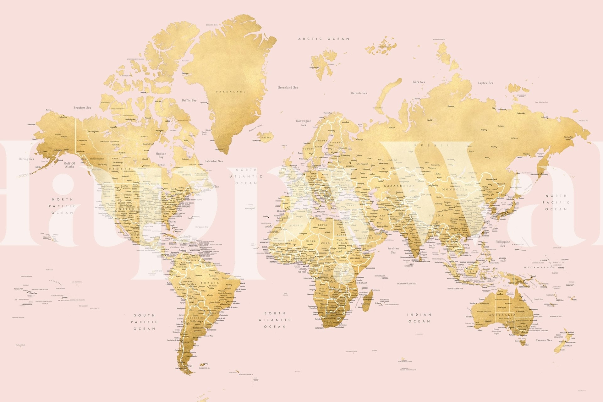 World map in gold on pink background wallpaper