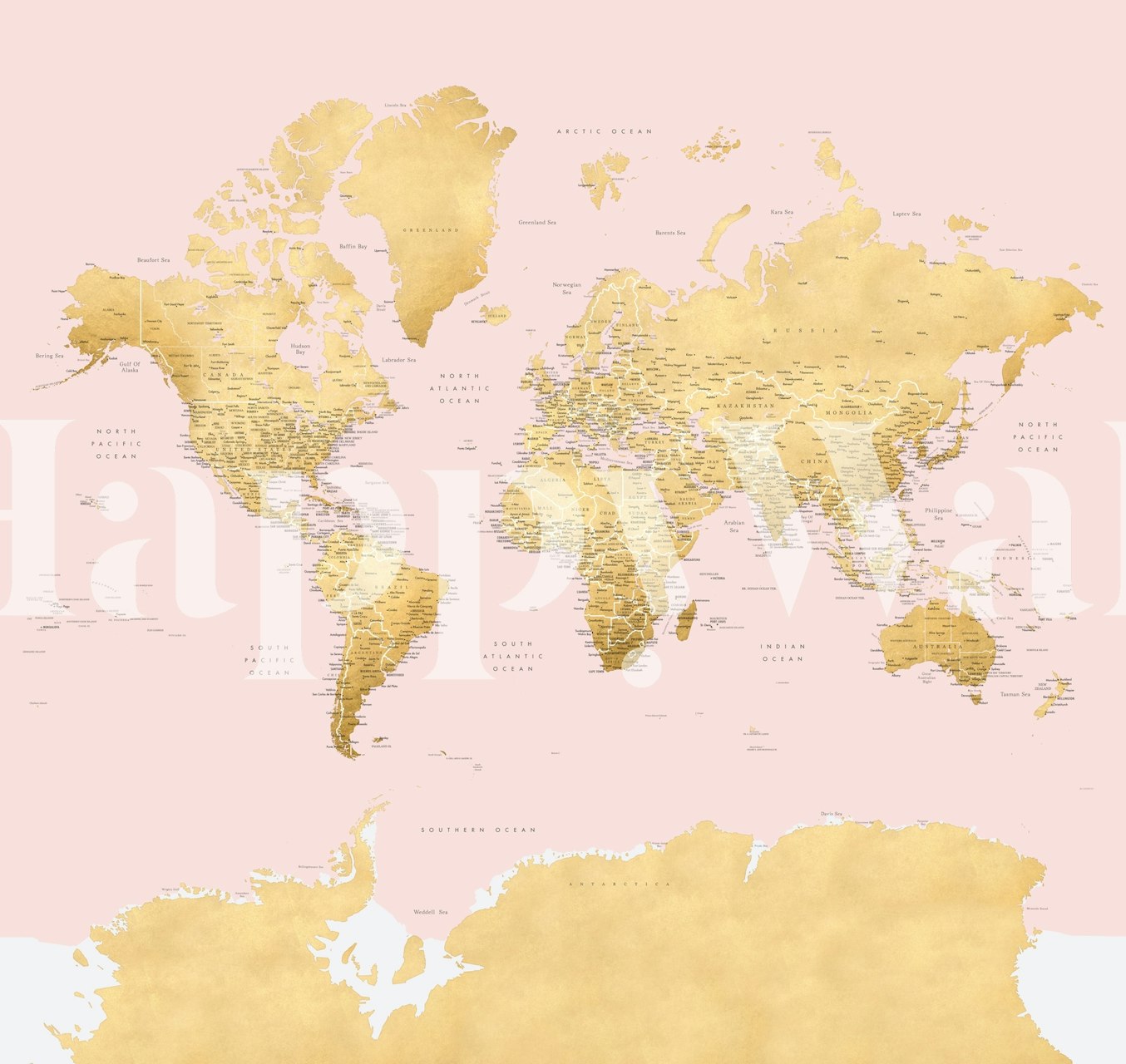 Gold and pink world map wall mural with detailed continents