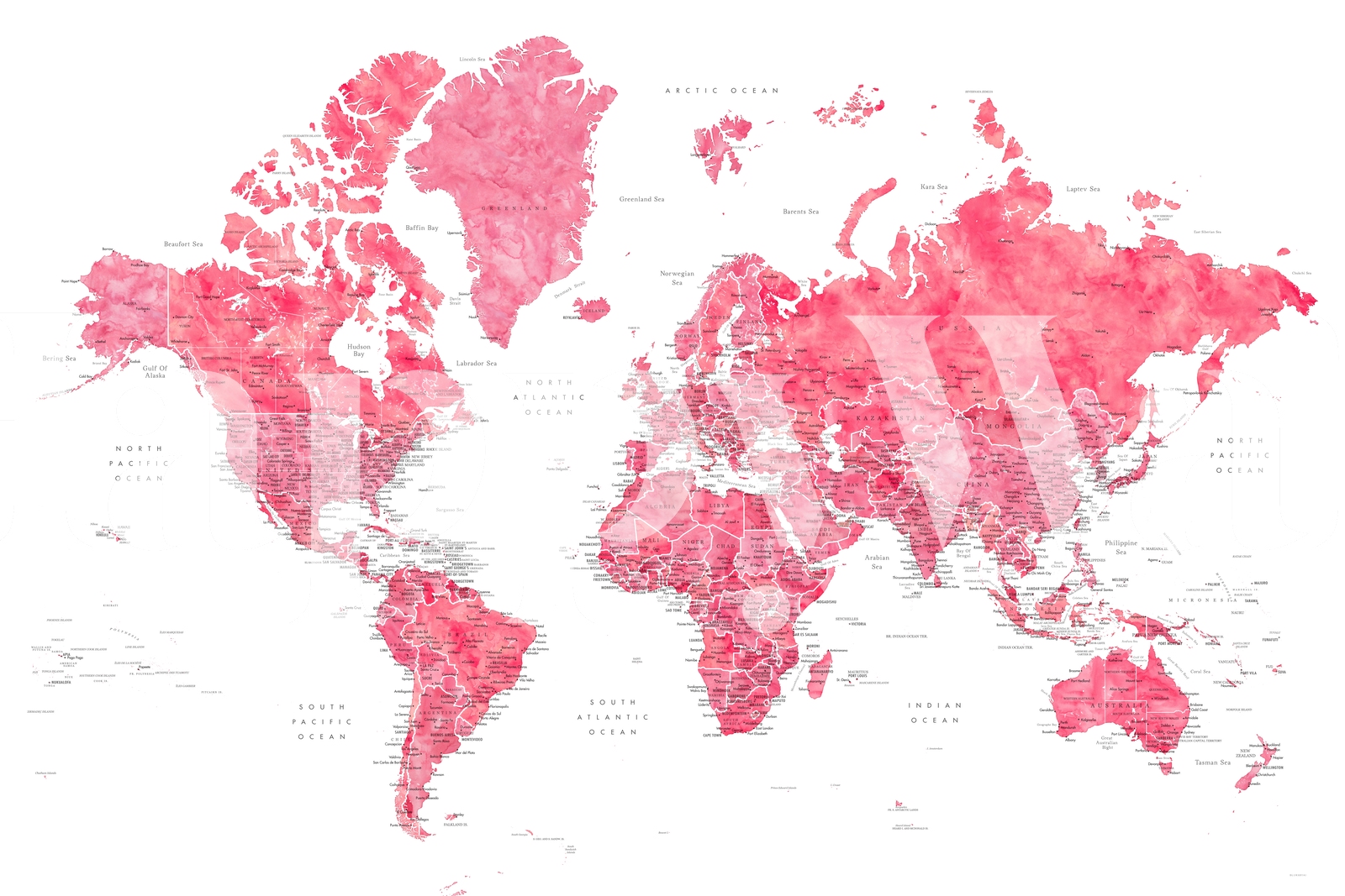 Buy Detailed World Map Wanda Wallpaper Online | Happywall.com