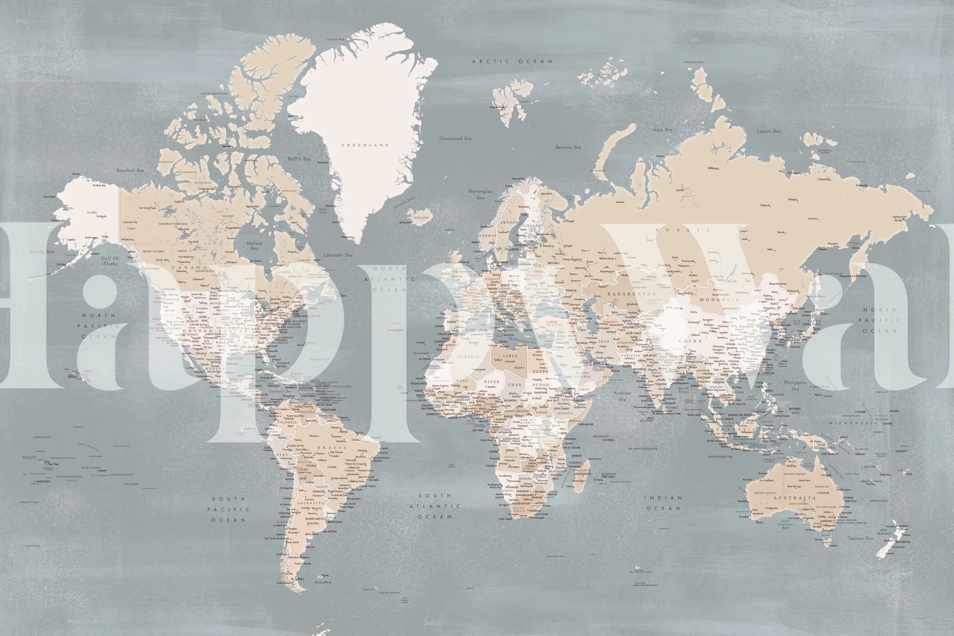 Detailed world map in beige and gray colors wallpaper