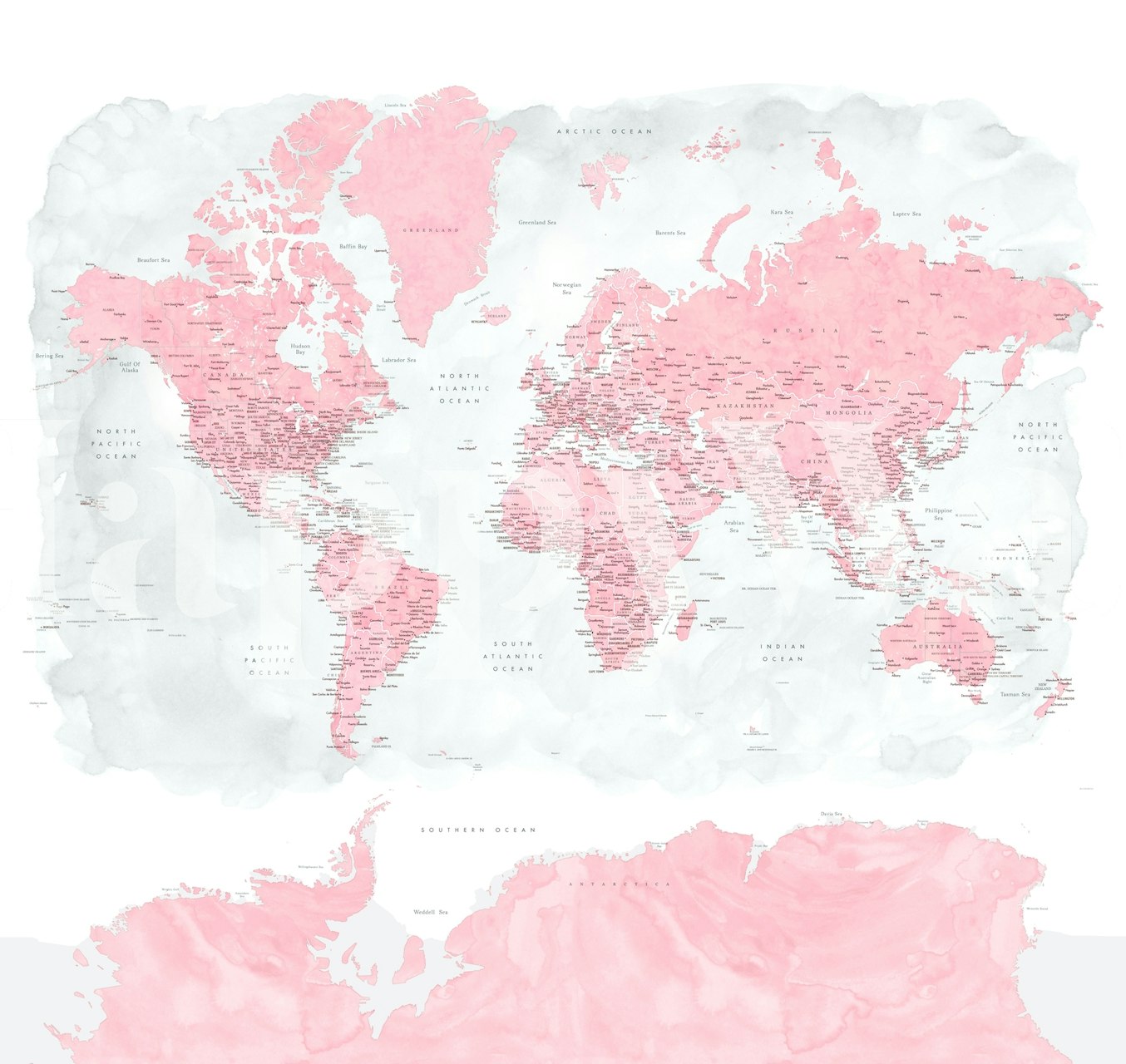 World map Gopi Antarctica wallpaper in a room