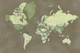 Detailed world map Camo