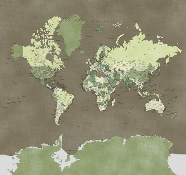 World map Camo Antarctica