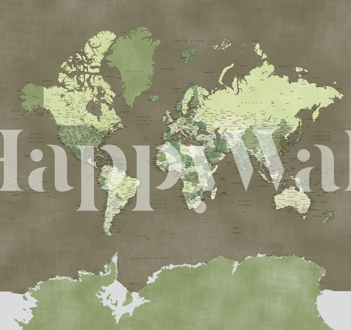 World Map Camo Antarctica Tapete in einem Raum