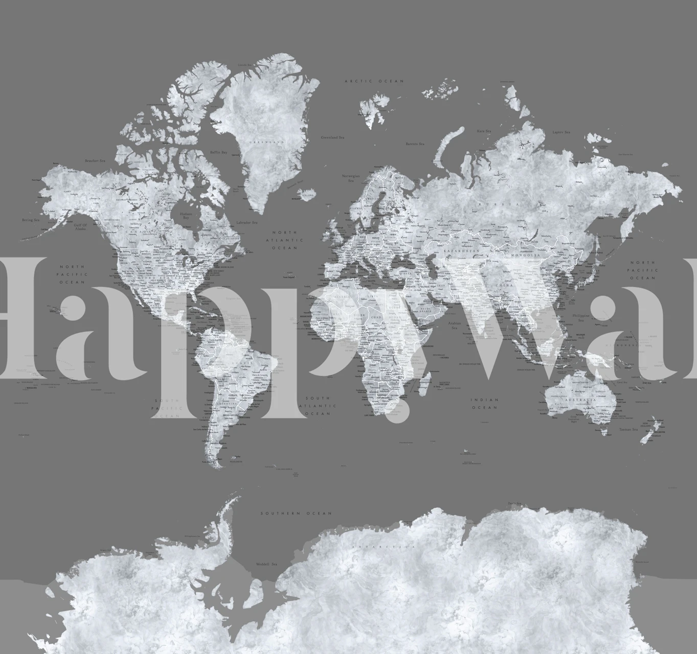 World Map Paolo Antarctica wallpaper displayed in a room