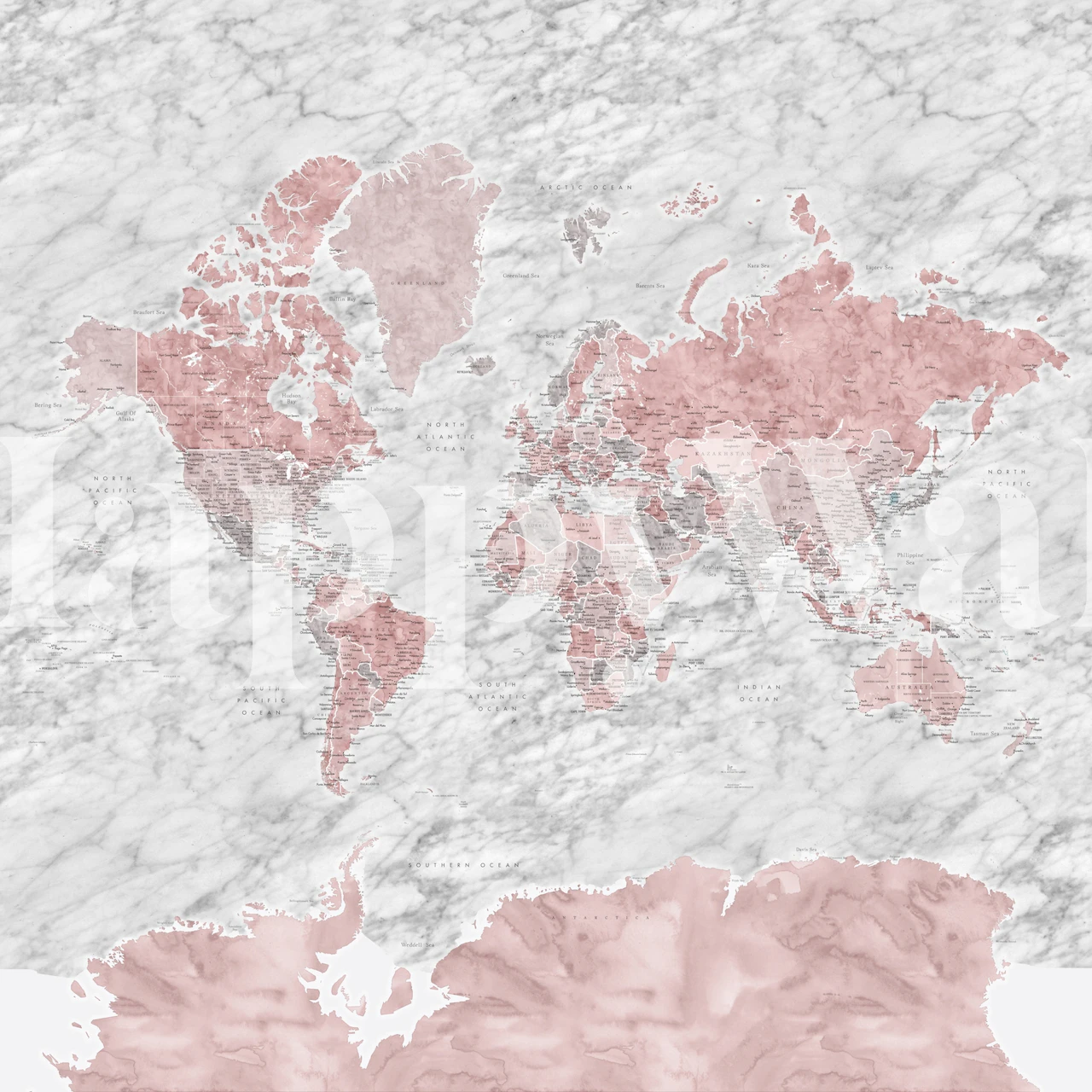 World map Laila Antarctica wallpaper in a room