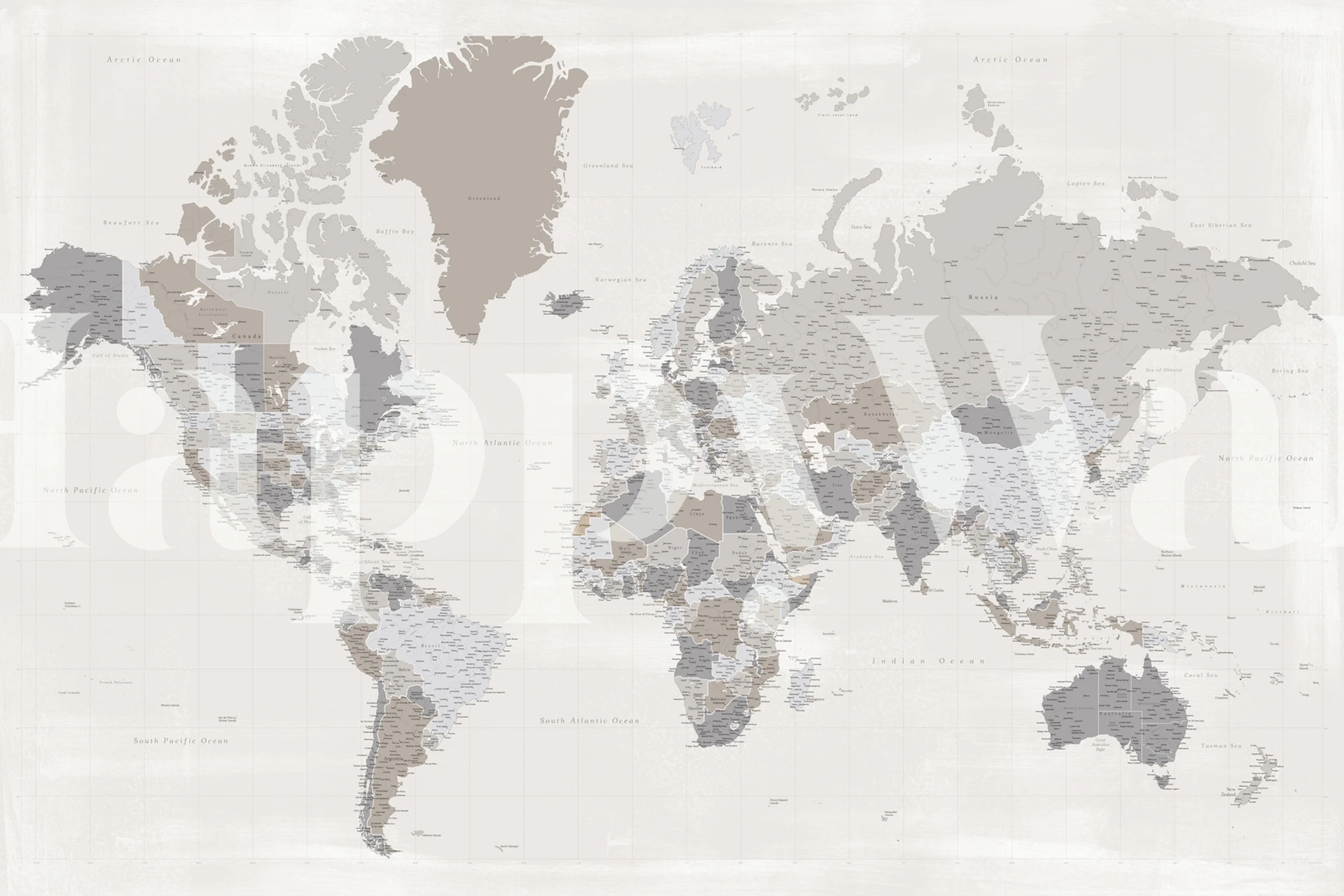 Neutral toned world map wall mural for modern interiors