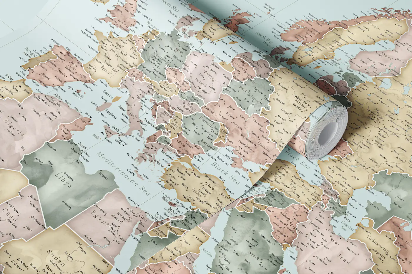High detail world map Michel wallpaper roll
