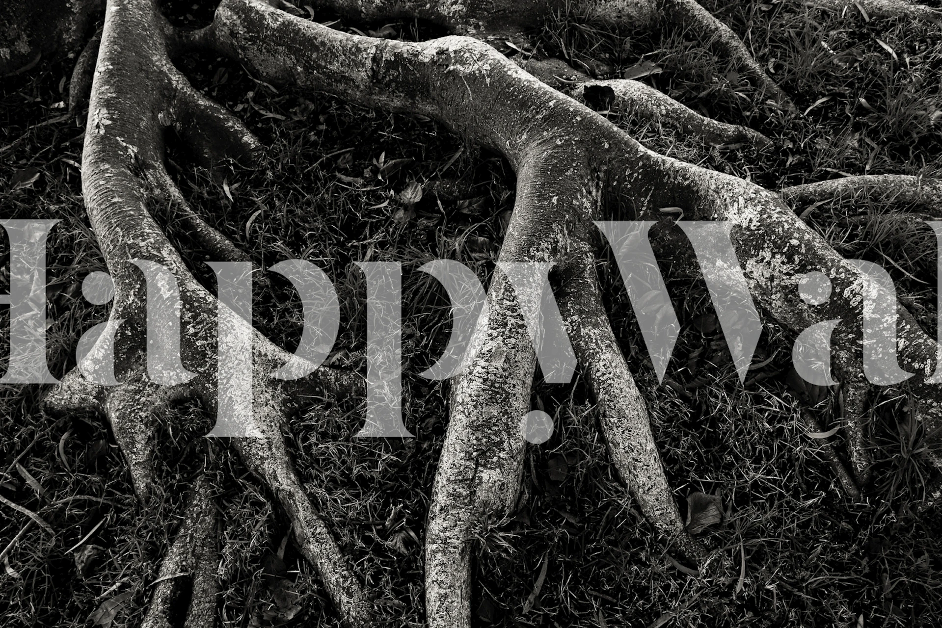 Roots II wallpaper showcasing textured patterns