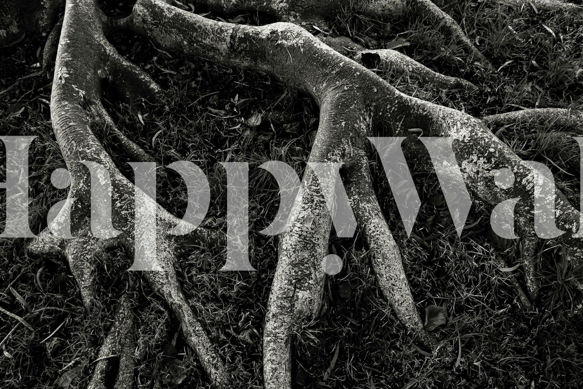 Roots II wallpaper showcasing textured patterns