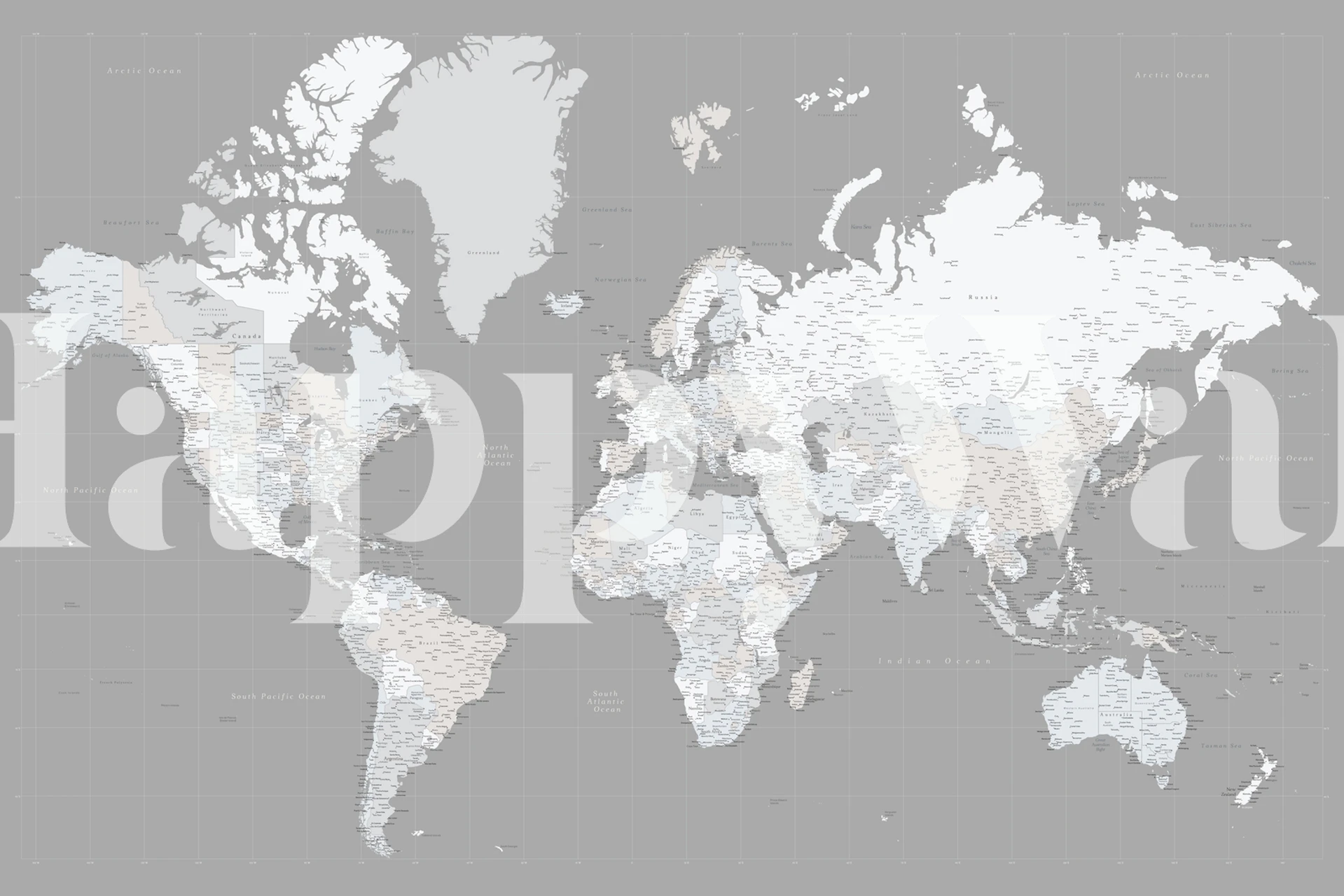 High detail world map wallpaper in a room