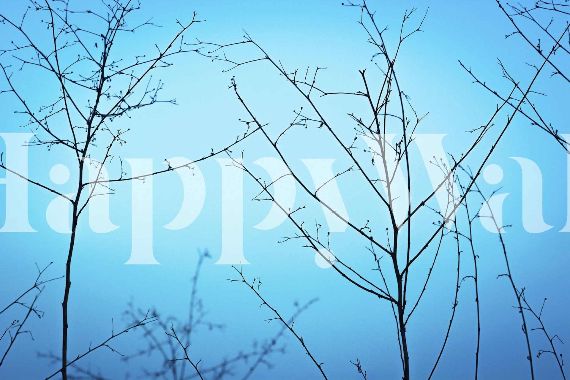 Twilight tapetdesign med grene