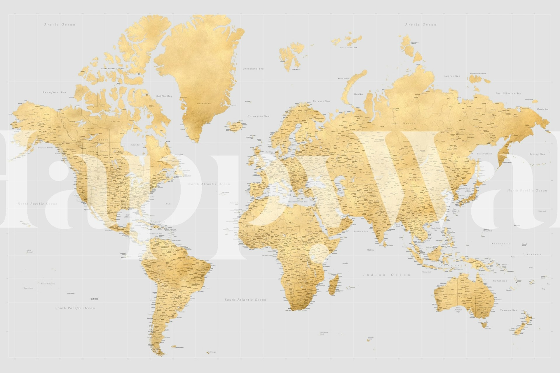 High detail world map wallpaper i et rum