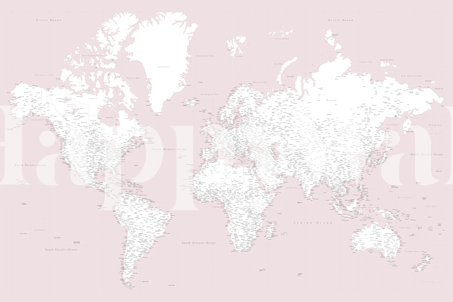 High detail world map i baby pink
