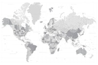 High detail world map Gray tapete