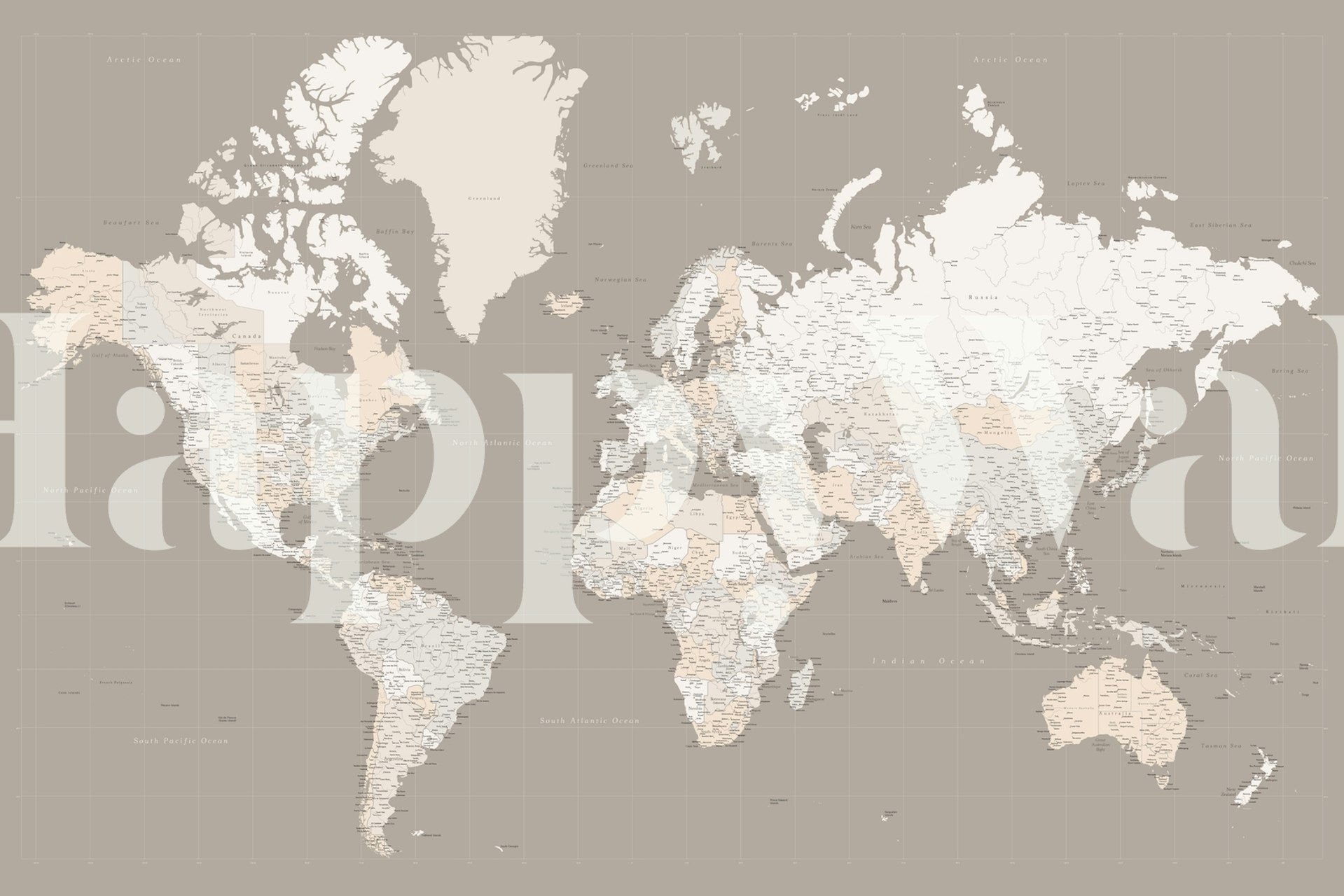 Υψηλής λεπτομέρειας τοιχογραφία παγκόσμιου χάρτη σε ουδέτερο τόνο για εσωτερική διακόσμηση