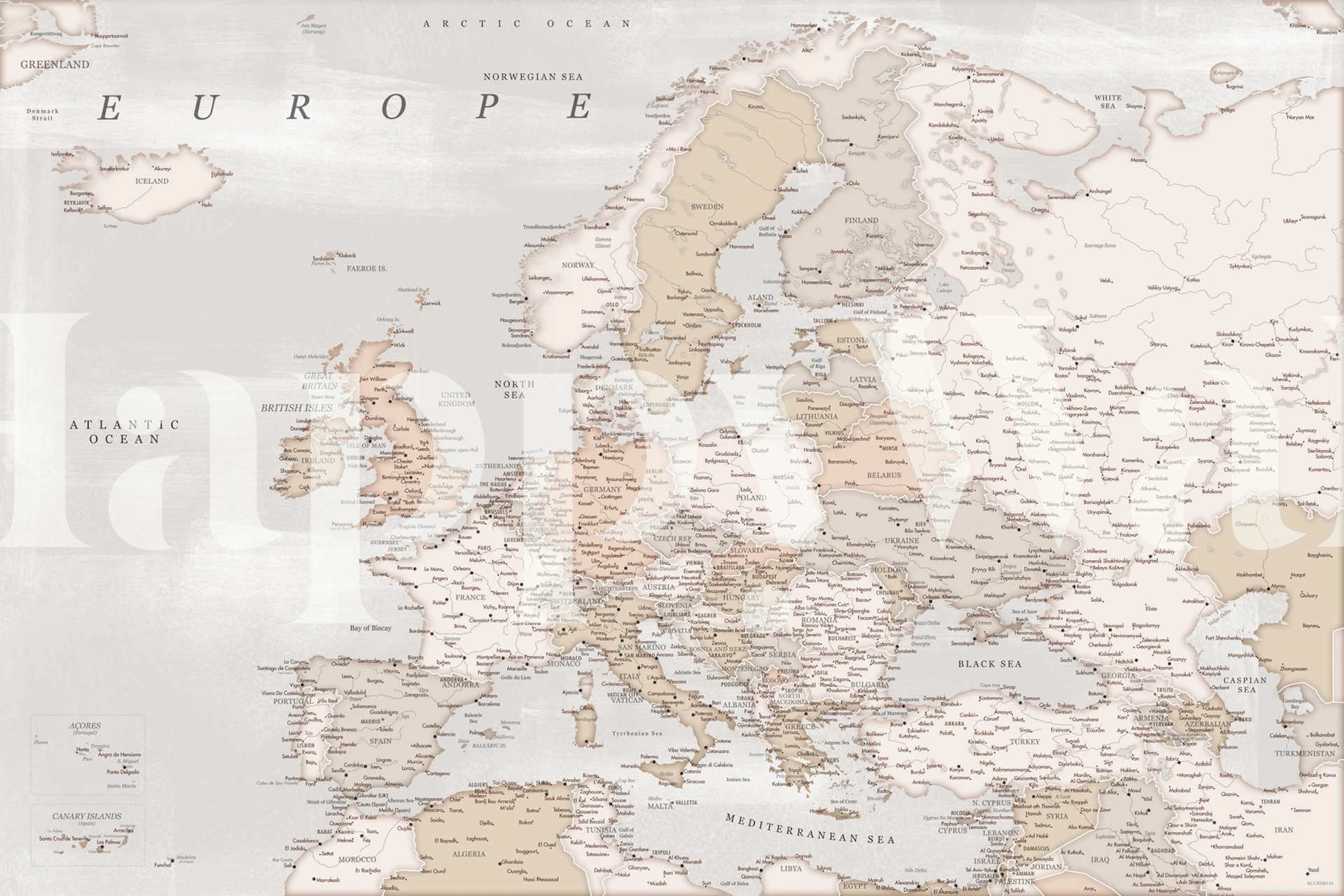 Detailed Europe map wallpaper in a room