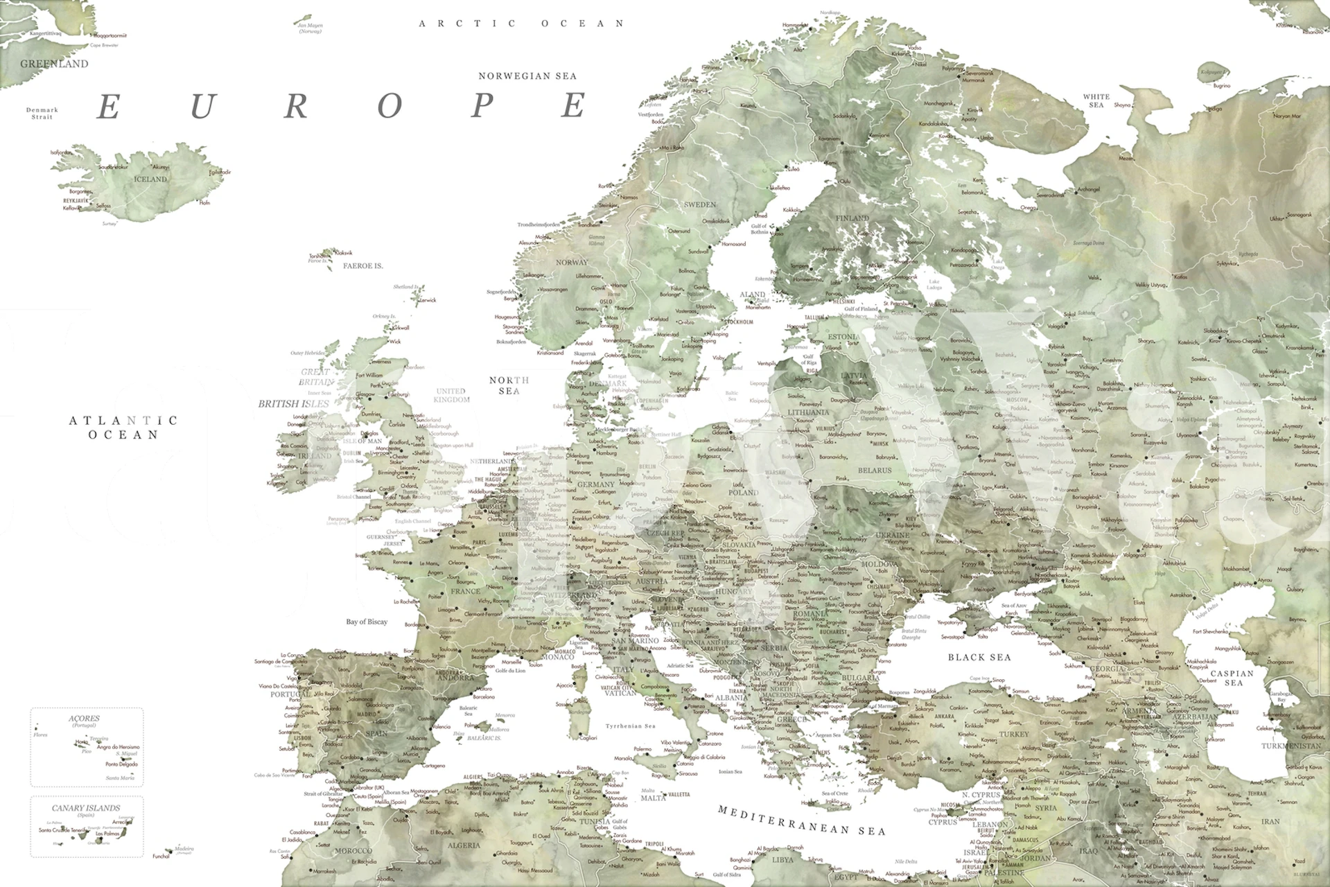 Detailed Europe map wallpaper in a room