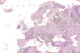 Detailed world map Cecilie