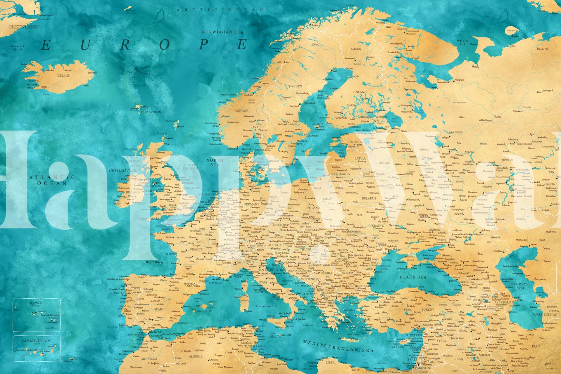 Detailed Europe map tapet i et rum