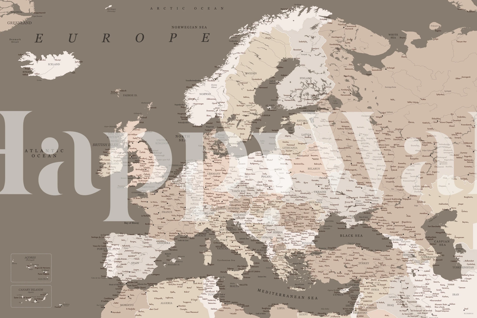 Detailed Europe map with earthtone colors and geographical labels wallpaper