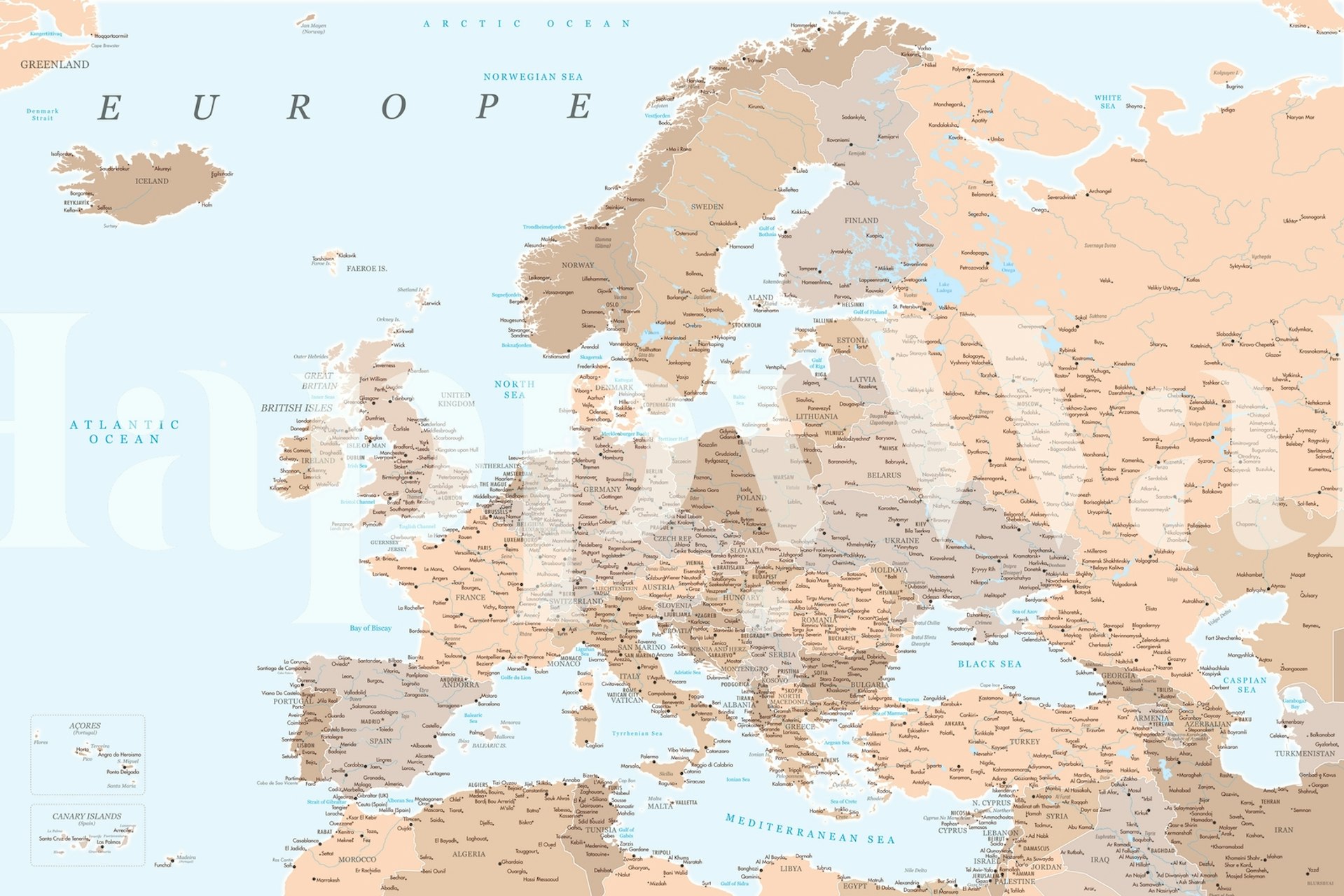 Detailed Europe map wallpaper in a room