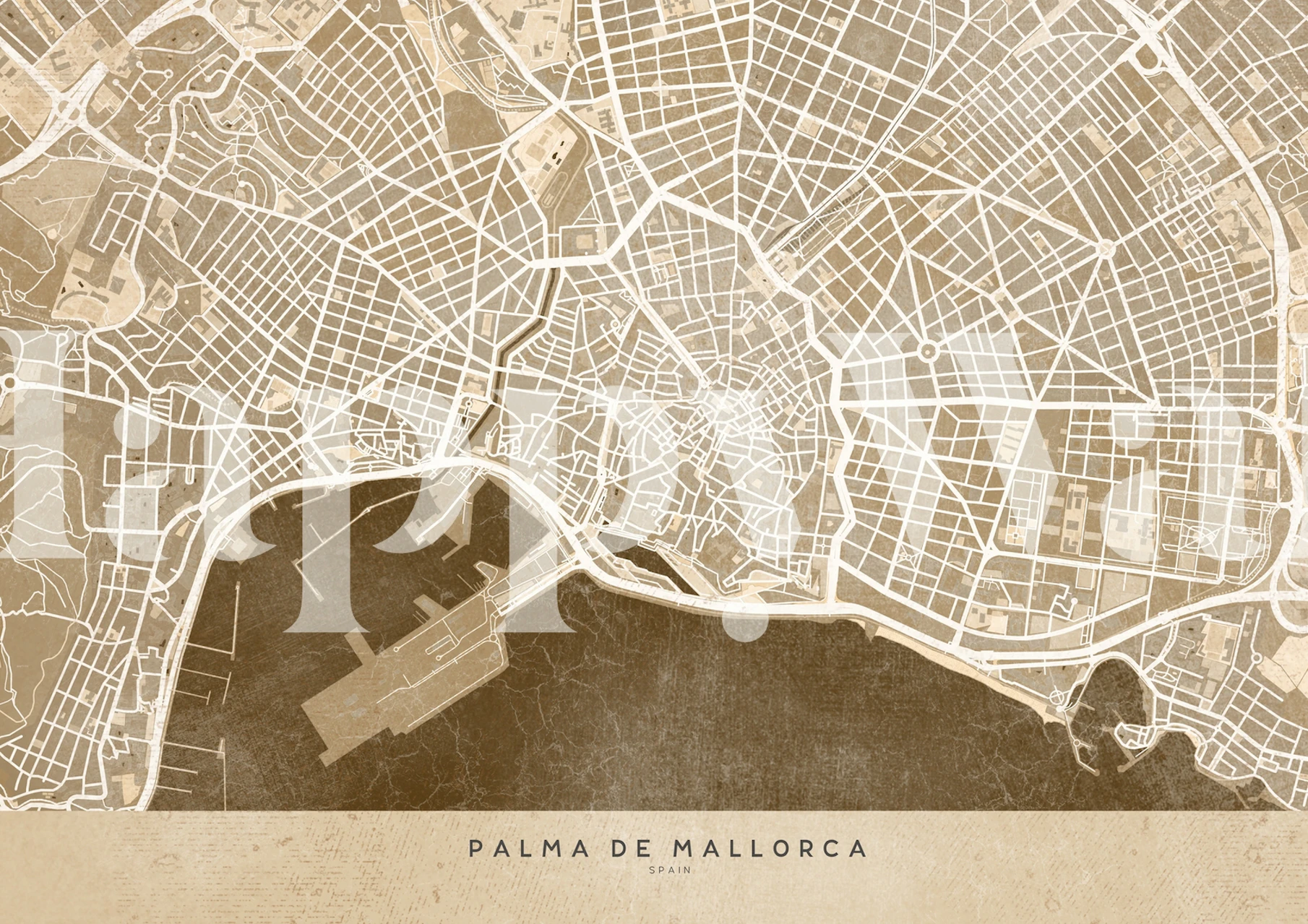 Palma de Mallorca map in sepia tones wall mural