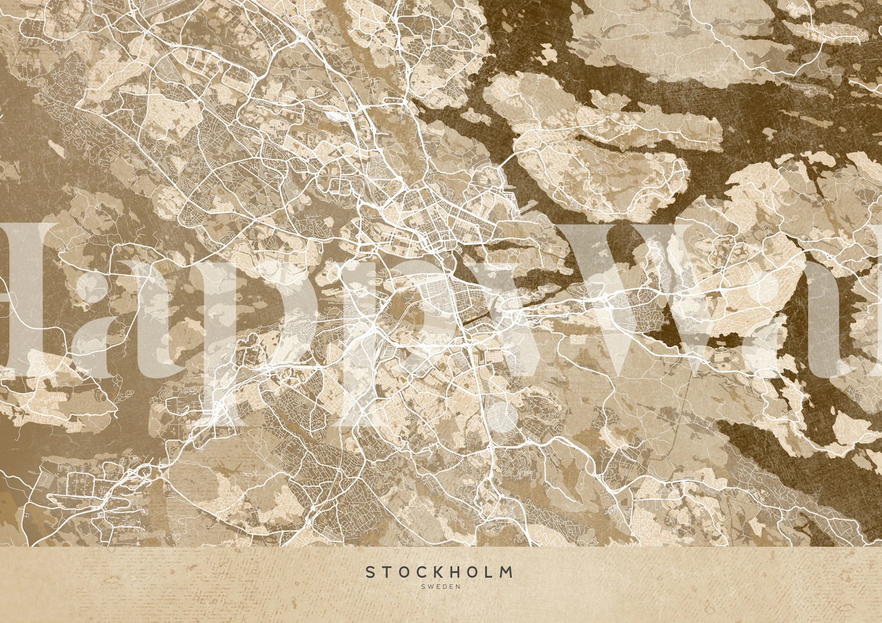 Vintage sepia map wallpaper with intricate city details and muted tones