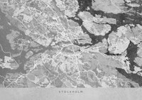 Stockholm gray vintage map papiers peint