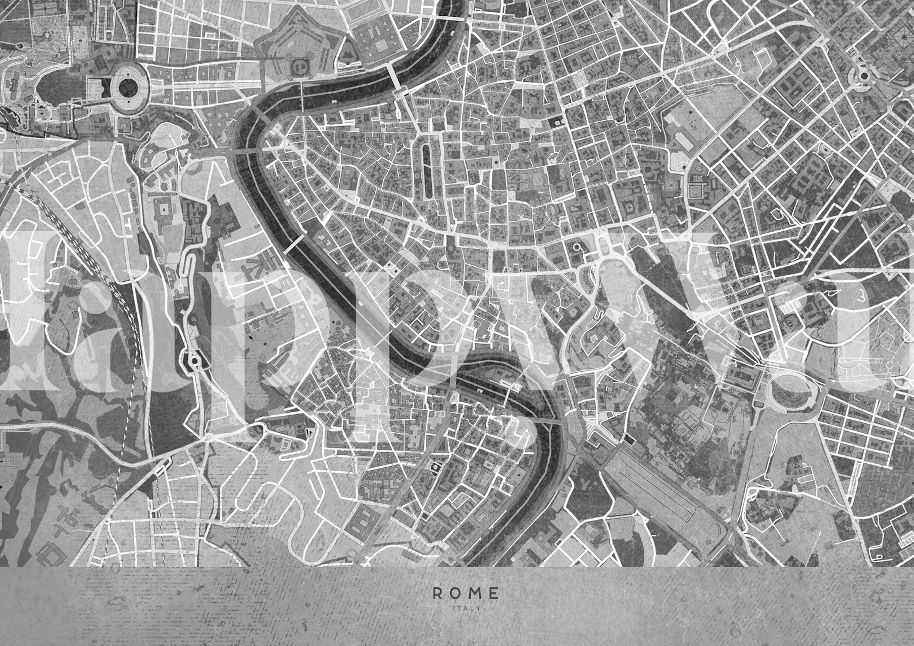 Gray vintage map wall mural of Rome Italy with intricate street and landmark details