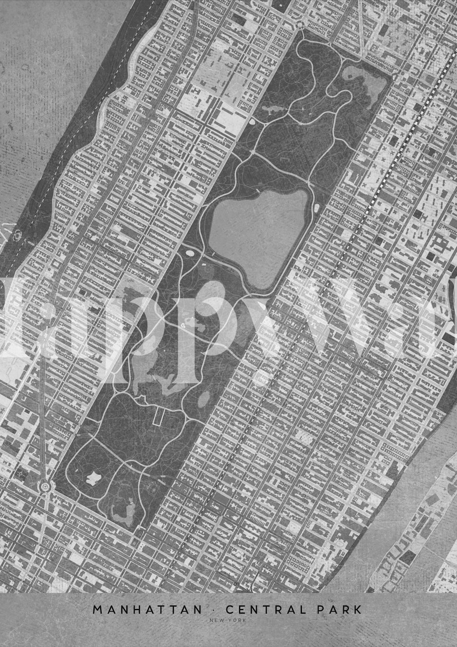Gray map design of Central Park NY wallpaper