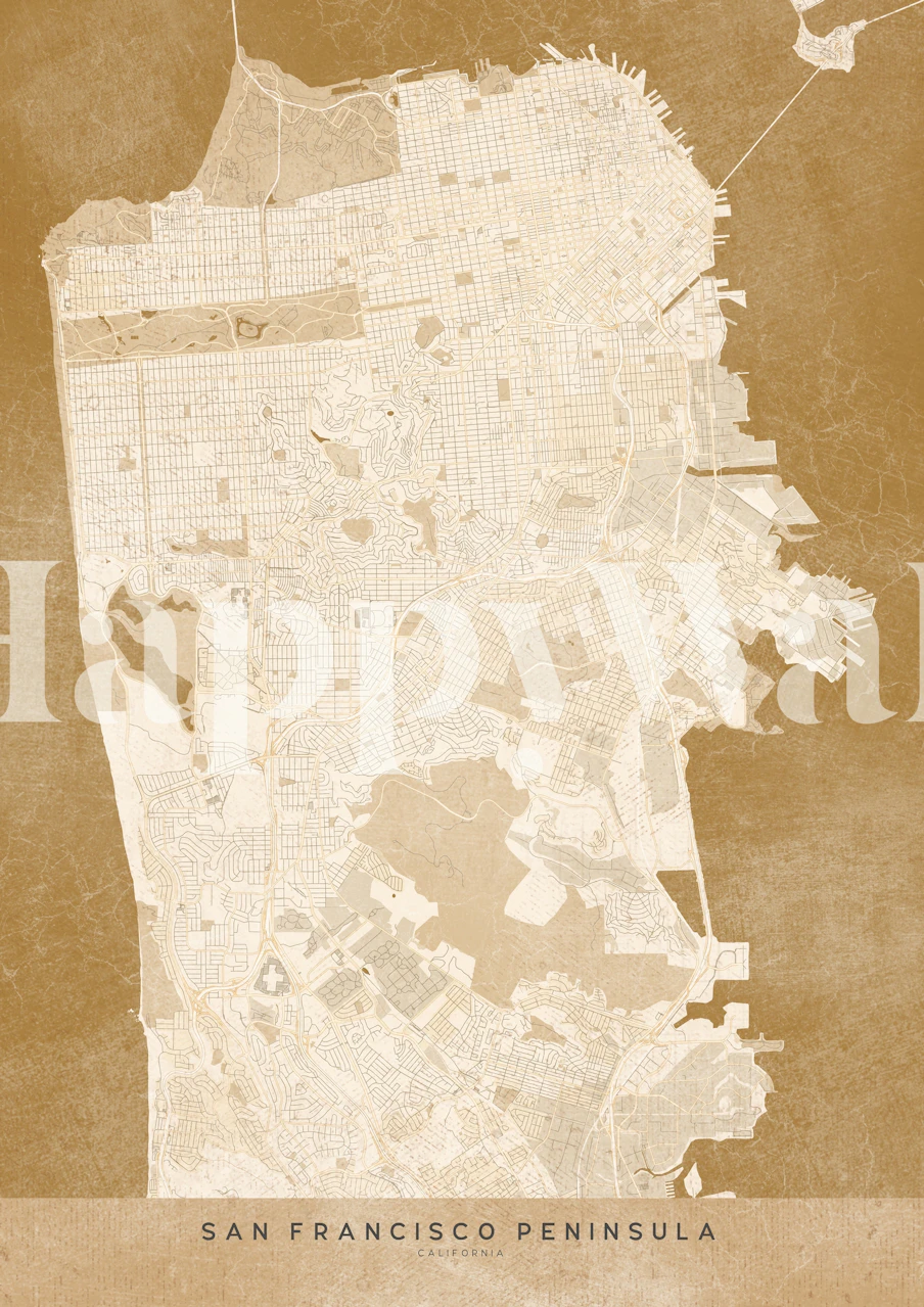 Sepia San Francisco map Tapete in einem Raum