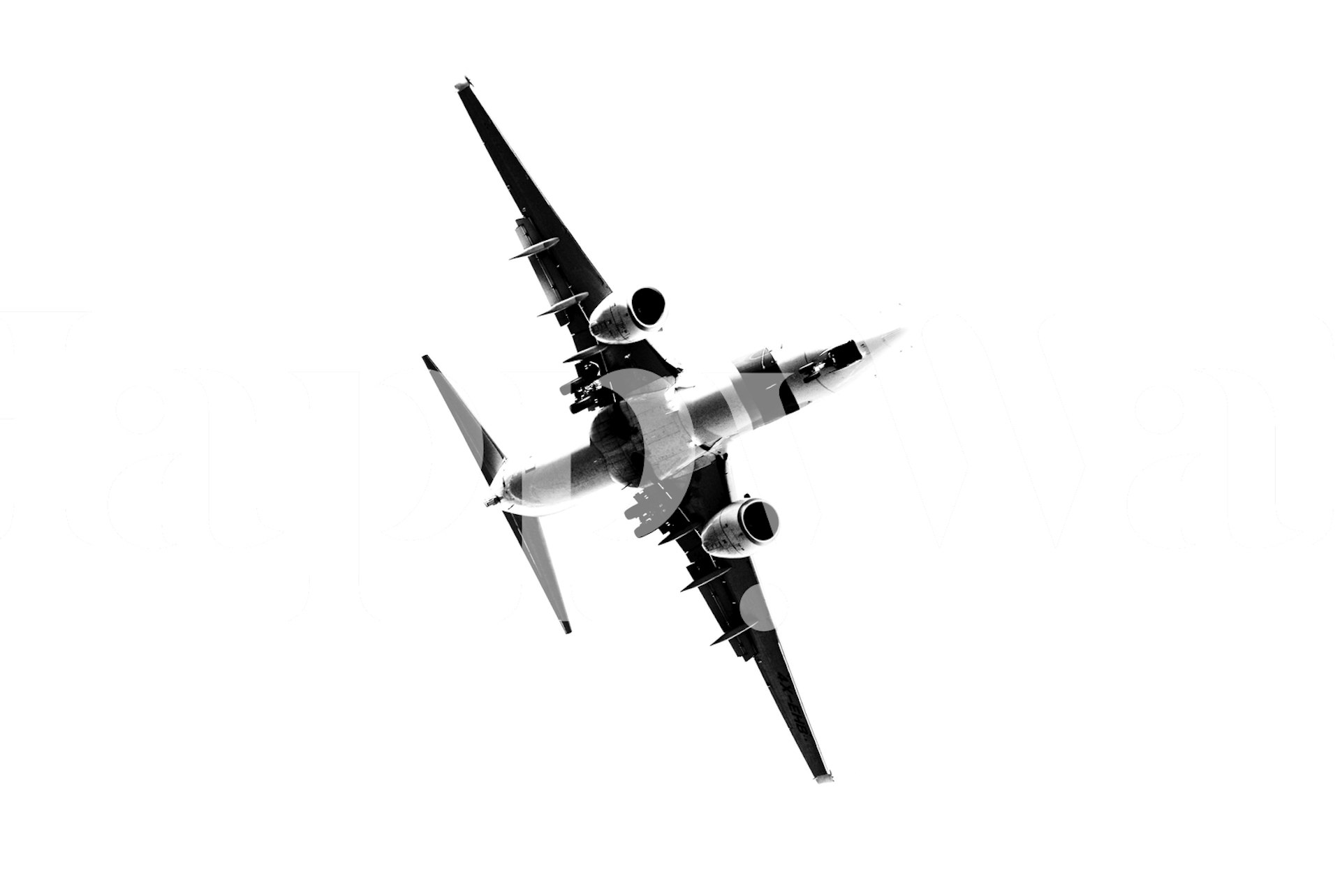 Carta da parati in bianco e nero di un aereo stilizzato in ascesa che simboleggia il progresso e l'ambizione