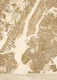 Sepia vintage New York map