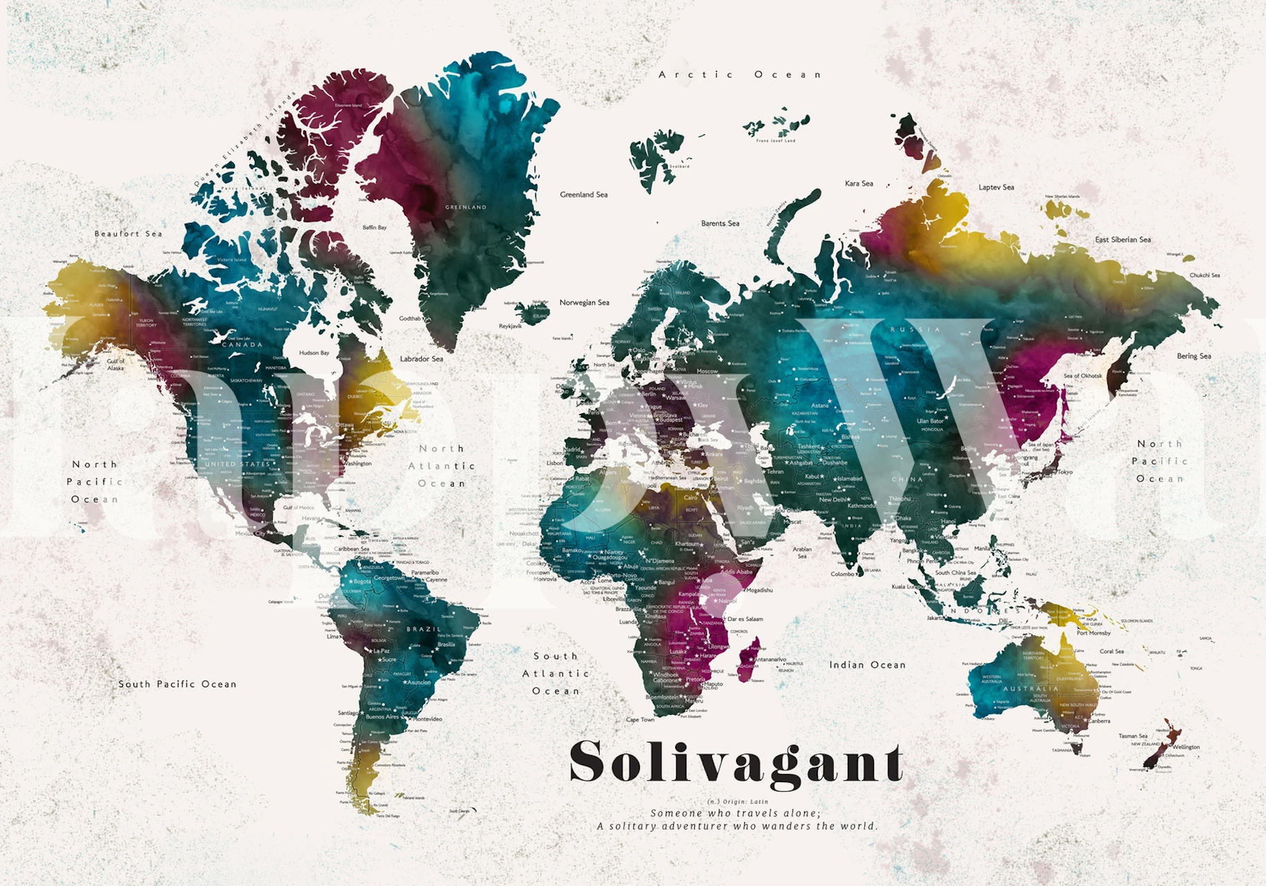 Colorful watercolor world map wall mural named Solivagant Charleena