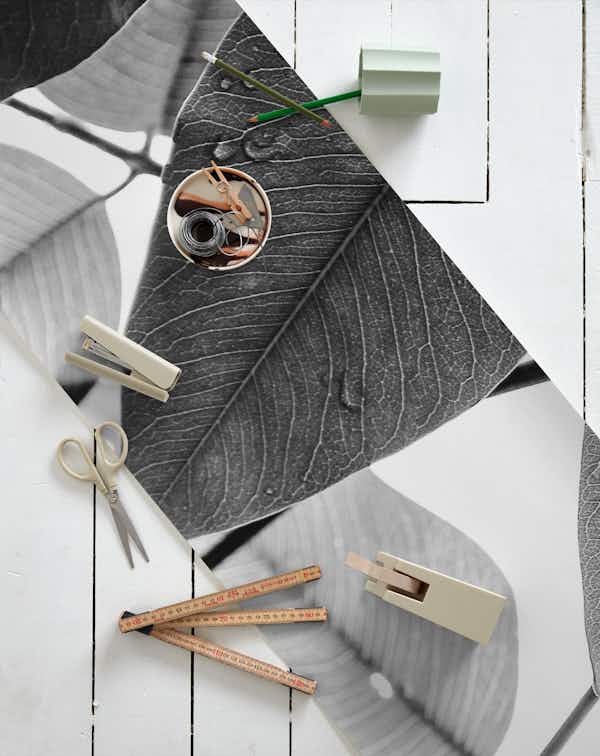 Experiments with Leaves I wallpaper roll