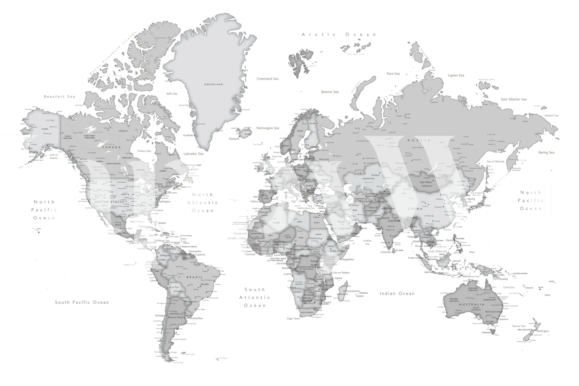 Chas world map wallpaper in a room