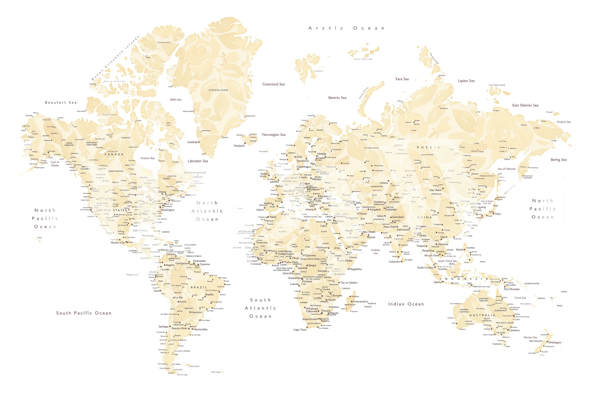 Remi world map wallpaper affiché dans une pièce