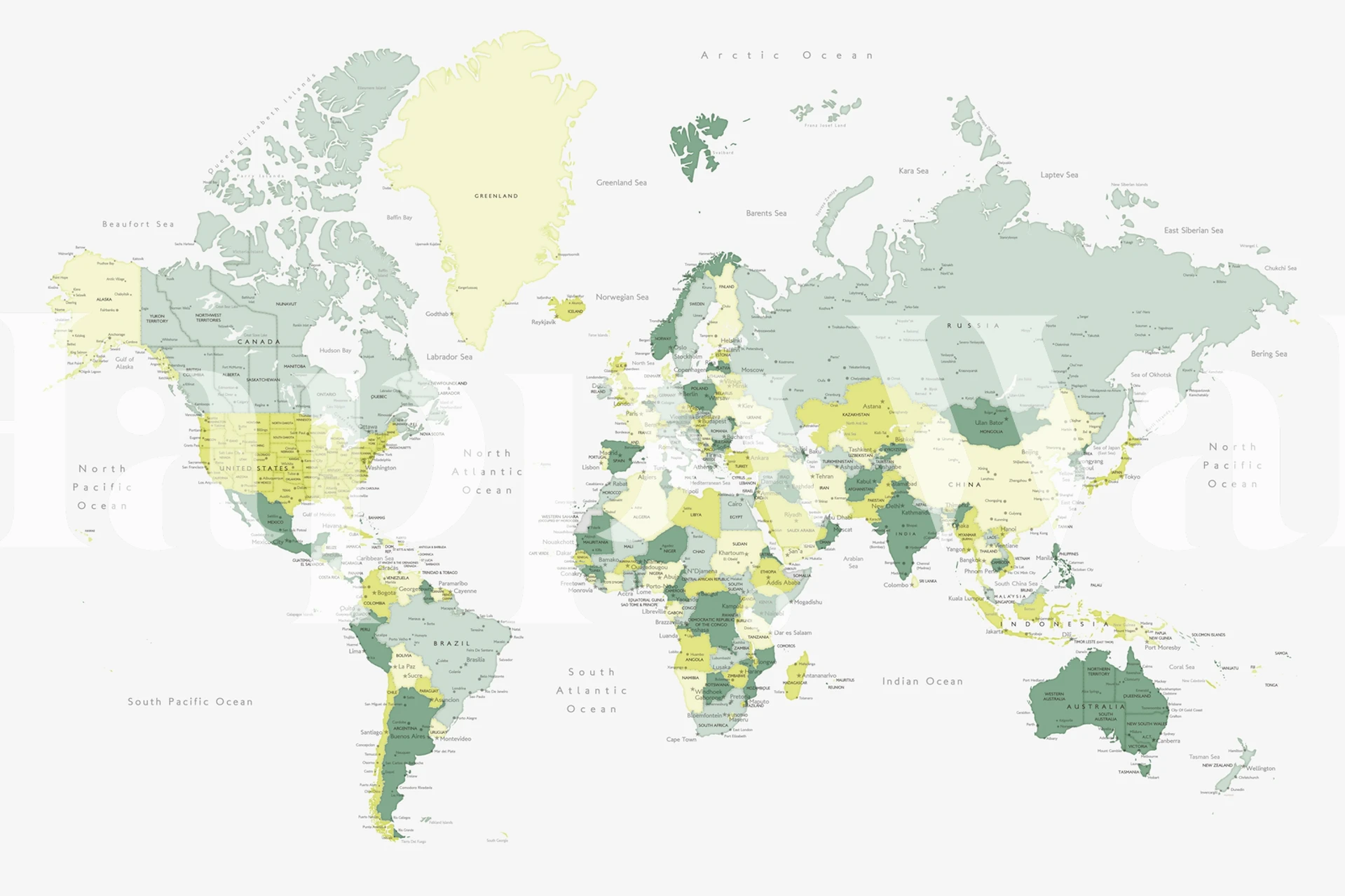 Kapueo world map with cities wallpaper in a room