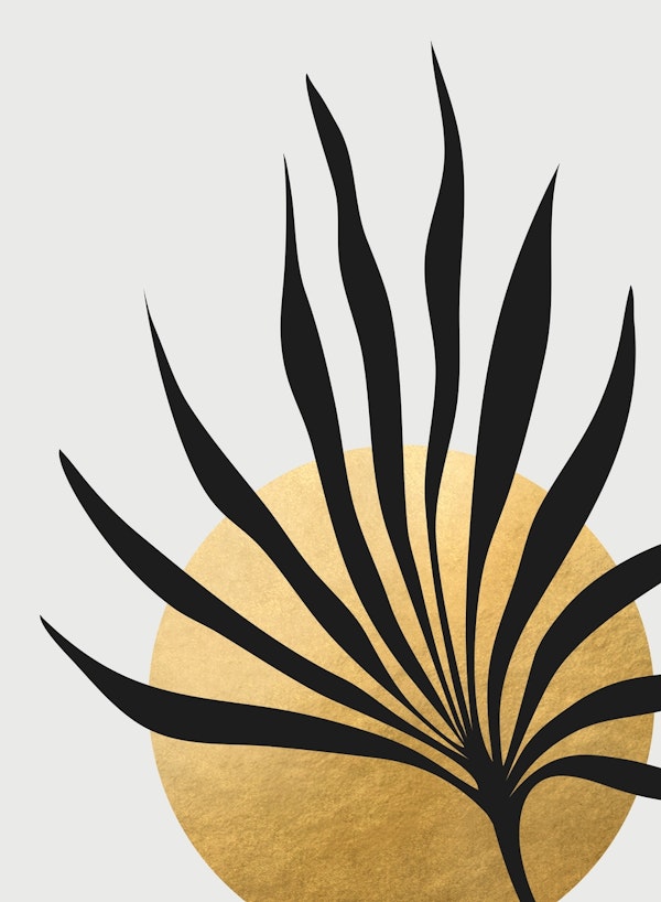 Tropical sun and palm leaf