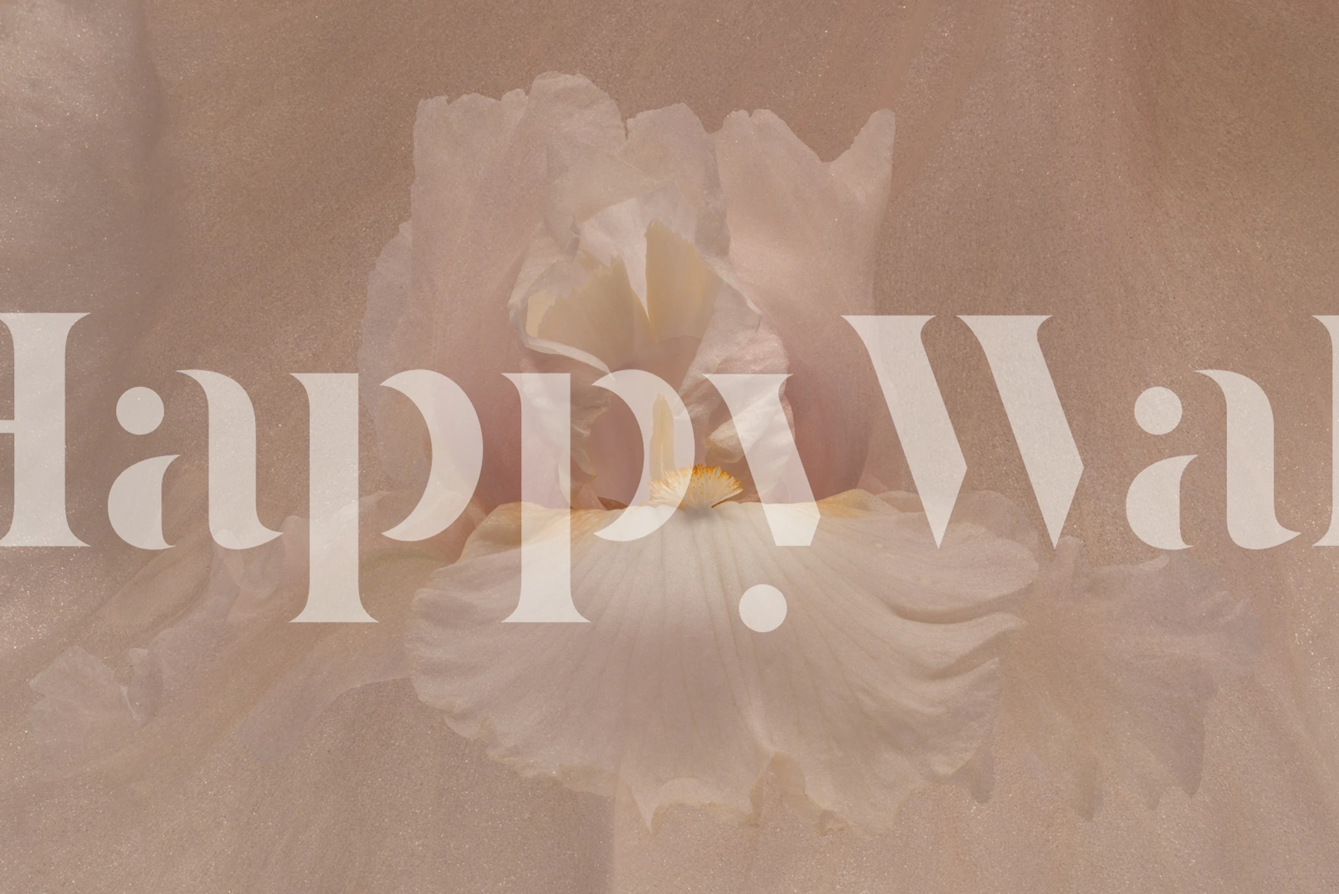 Canopy wallpaper design in a room