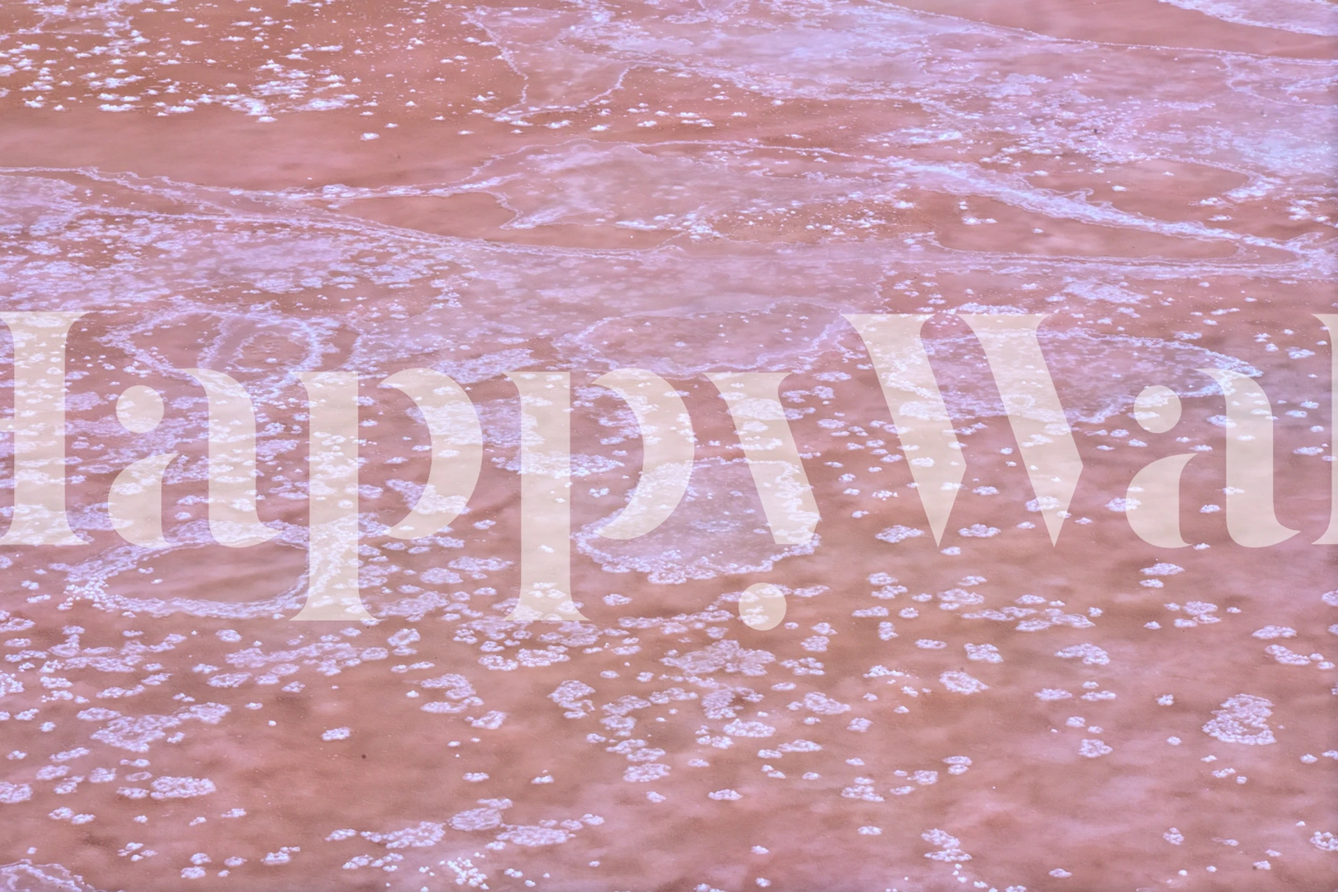 Wall mural of crystallized salt patterns in warm pink tones