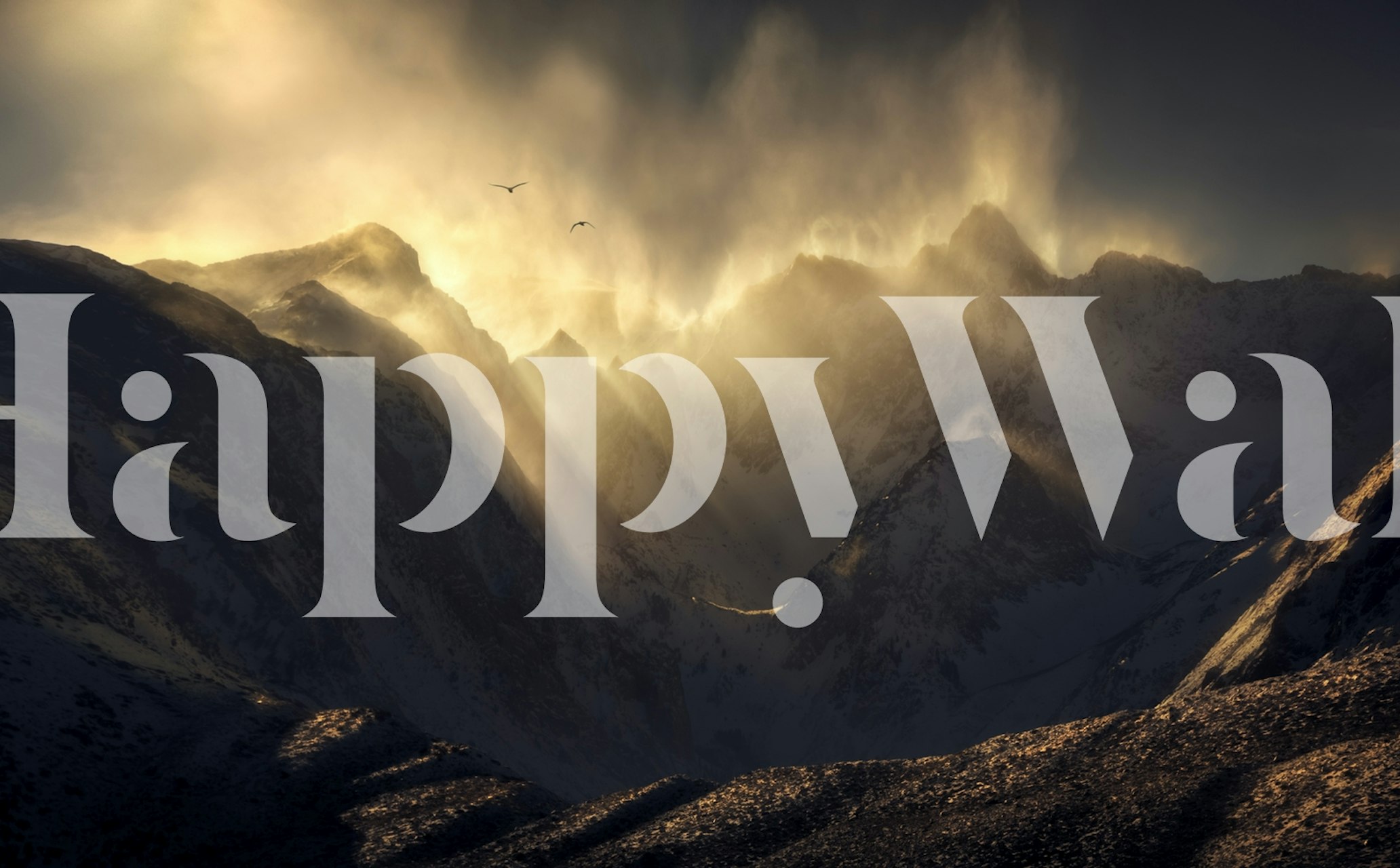 Polterzeitgeist wallpaper displayed in a room