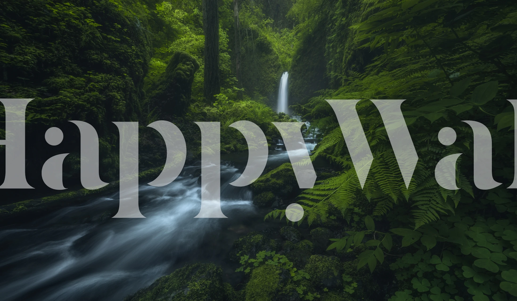 Lush green forest with a waterfall and flowing stream wallpaper