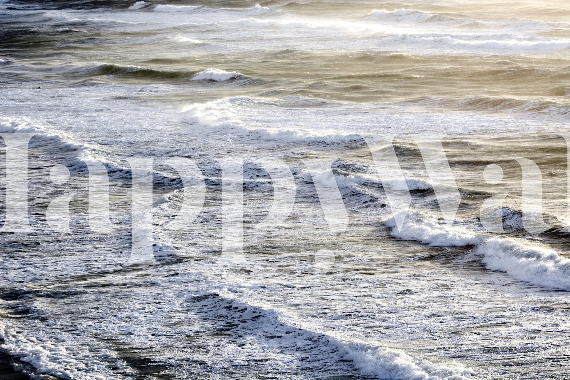 Ocean waves and foam in neutral tones wall mural