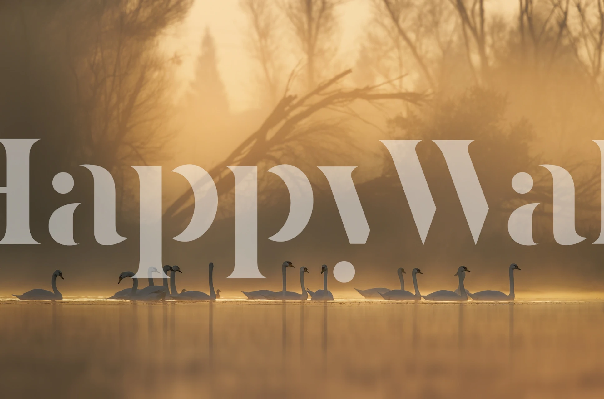 Silhouettes of swans in misty gold and brown tones wallpaper