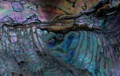 Τοιχογραφία