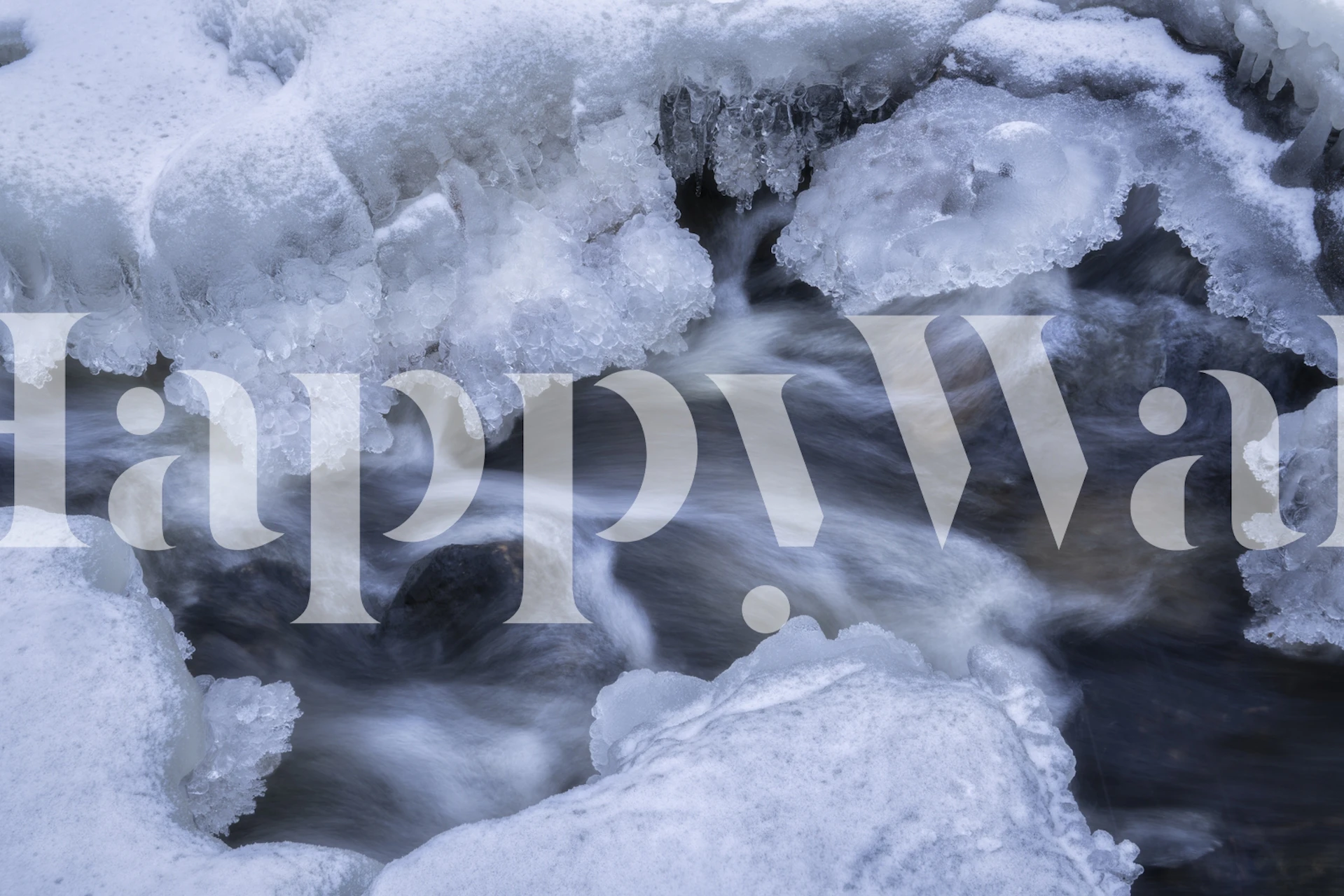 Wei Wu Wei wallpaper displayed in a room