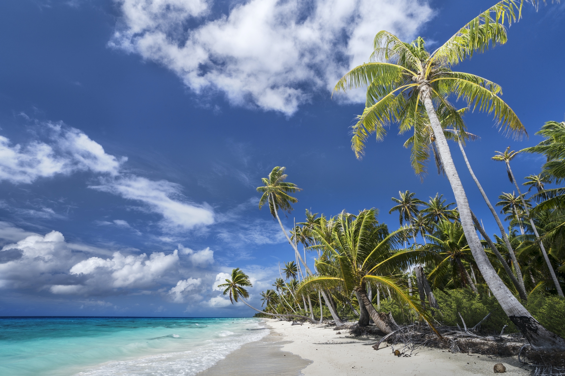 buy-desert-island-wallpaper-free-shipping