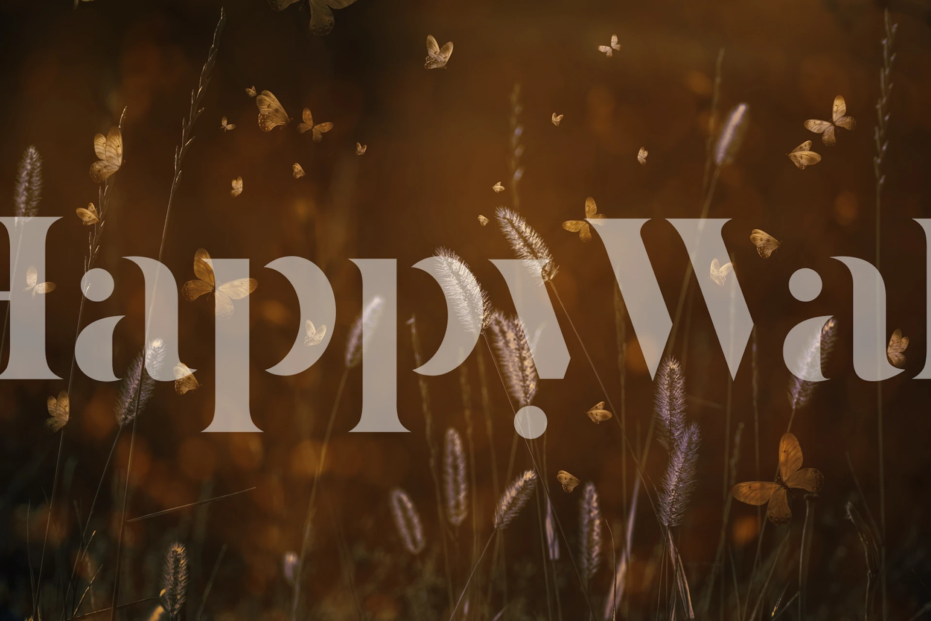 Love is in the Air Tapete in einem Raum